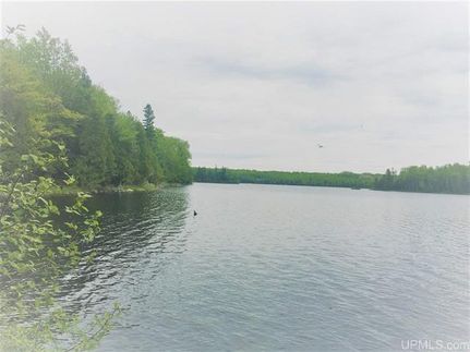 Undeveloped Land in Baraga County, Michigan