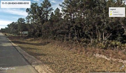 Undeveloped Land in Putnam County, Florida