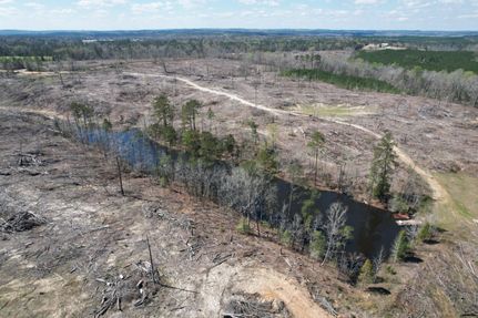 Undeveloped Land in Henry County, Alabama