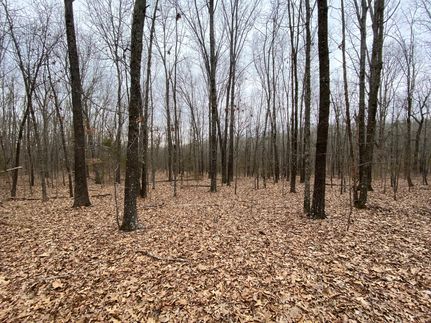 Hunting Property in Howell County, Missouri