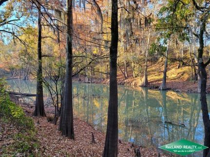 Farm and Ranch in Morehouse Parish, Louisiana