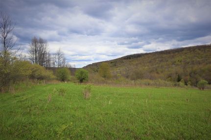 Recreational Property in Allegany County, New York