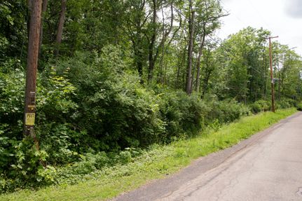 Undeveloped Land in Schuyler County, New York