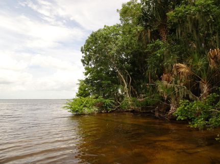 Recreational Property in Lake County, Florida