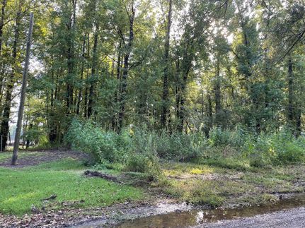 Homesite in Saint Martin Parish, Louisiana