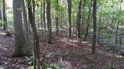 Land in Mercer County, Pennsylvania