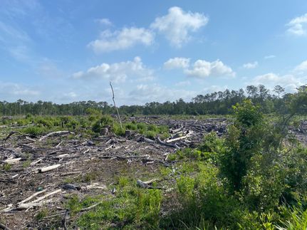 Farm and Ranch in Carteret County, North Carolina