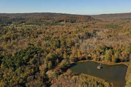 Timberland Property in Etowah County, Alabama