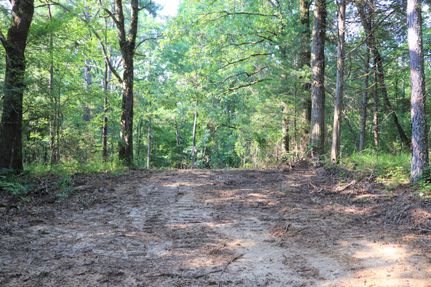 Timberland Property in Holmes County, Mississippi