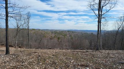 Timberland Property in Searcy County, Arkansas