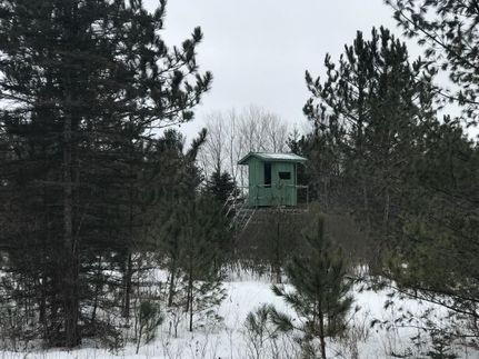 Timberland Property in Missaukee County, Michigan