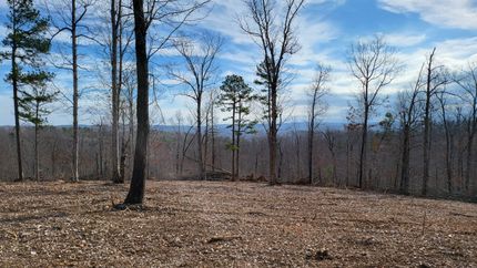 Hunting Property in Searcy County, Arkansas