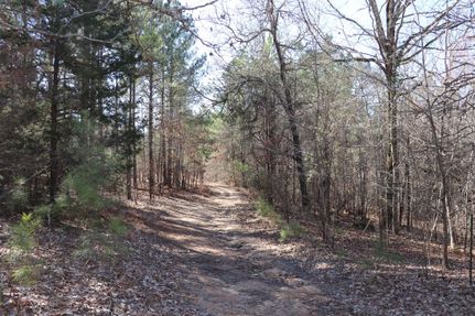 Timberland Property in Yalobusha County, Mississippi