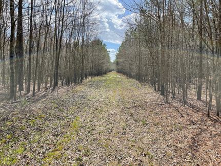 Farm and Ranch in Wayne County, North Carolina