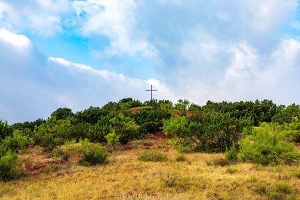 Undeveloped Land in Taylor County, Texas