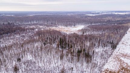Timberland Property in Taylor County, Wisconsin