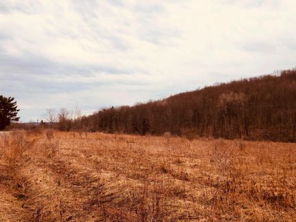 Hunting Property in Tioga County, New York