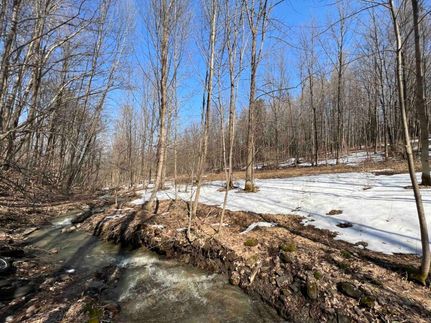 Timberland Property in Cortland County, New York
