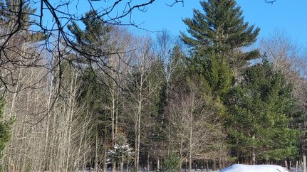 Undeveloped Land in Crawford County, Michigan