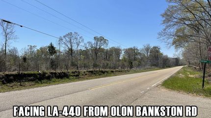Homesite in Tangipahoa Parish, Louisiana