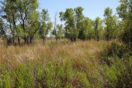 Farm and Ranch in Harmon County, Oklahoma