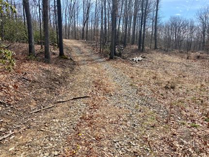 Undeveloped Land in Somerset County, Pennsylvania