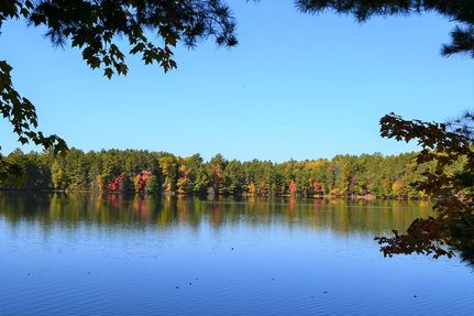 Farm and Ranch in Oneida County, Wisconsin