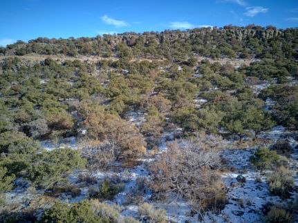 Undeveloped Land in Costilla County, Colorado