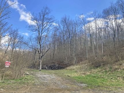 Timberland Property in Marion County, West Virginia