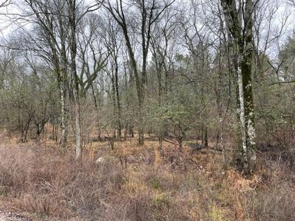 Homesite in McCurtain County, Oklahoma