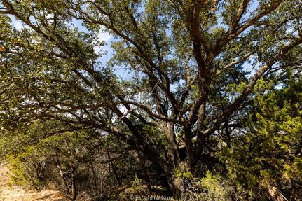 Farm and Ranch in Taylor County, Texas