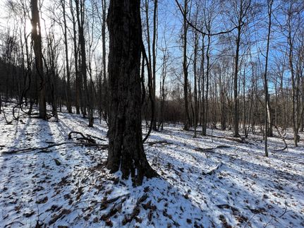 Hunting Property in Tioga County, New York
