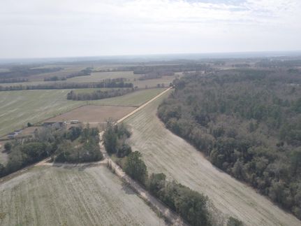 Timberland Property in Brooks County, Georgia
