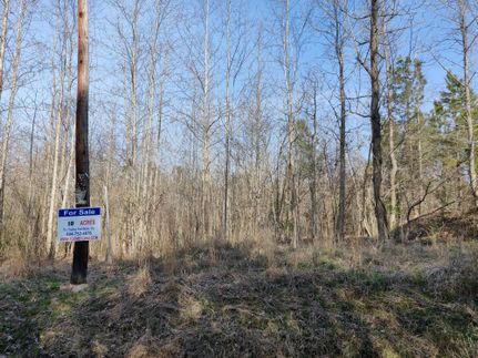 Undeveloped Land in Dinwiddie County, Virginia