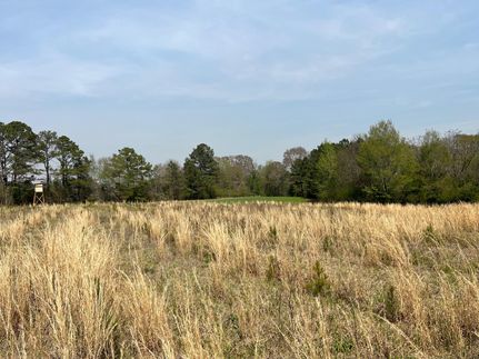 Undeveloped Land in Sumter County, Georgia