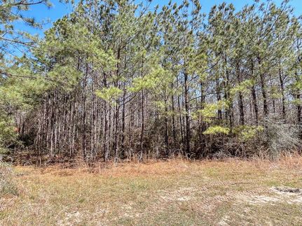 Recreational Property in Newton County, Texas