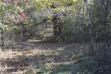 Land in Webster County, Missouri