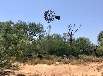 Timberland Property in La Salle County, Texas