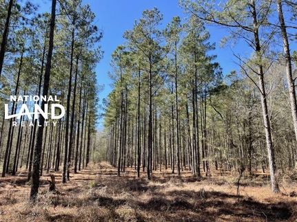 Commercial Property in Aiken County, South Carolina