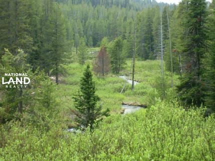 Land in Boise County, Idaho