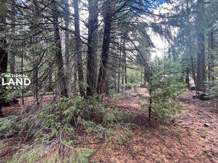 Undeveloped Land in Shasta County, California