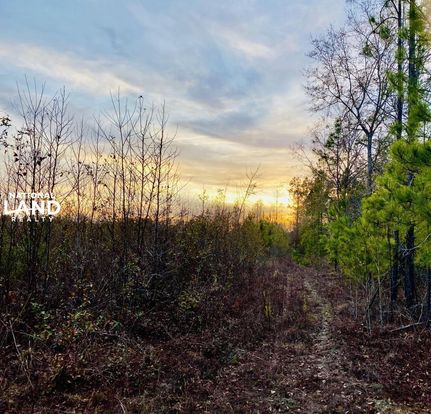Land in Laurens County, Georgia