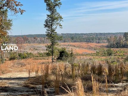 Land in Marlboro County, South Carolina
