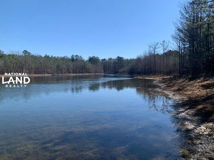 Timberland Property in Leake County, Mississippi