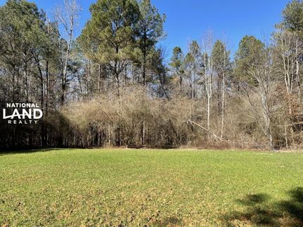 Hunting Property in Pickens County, Alabama