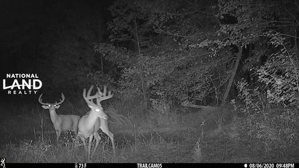 Land in Lamar County, Alabama