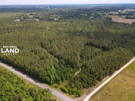 Undeveloped Land in Horry County, South Carolina