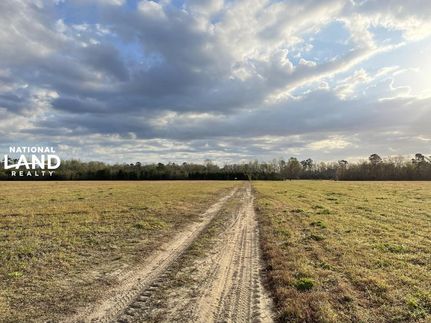 Undeveloped Land in Berkeley County, South Carolina