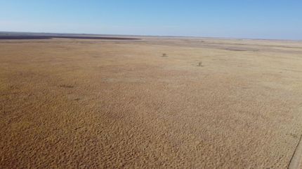 Undeveloped Land in Randall County, Texas