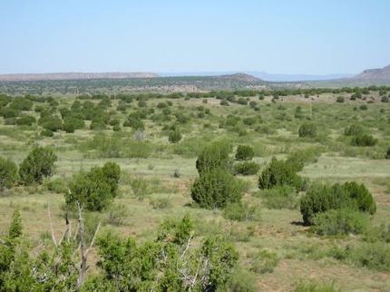 Land in Guadalupe County, New Mexico